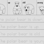 14 Tracing Sentences Worksheets Worksheeto